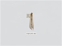 藏品(蟻蛉28)的圖片